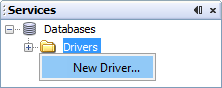 New iReport driver.png